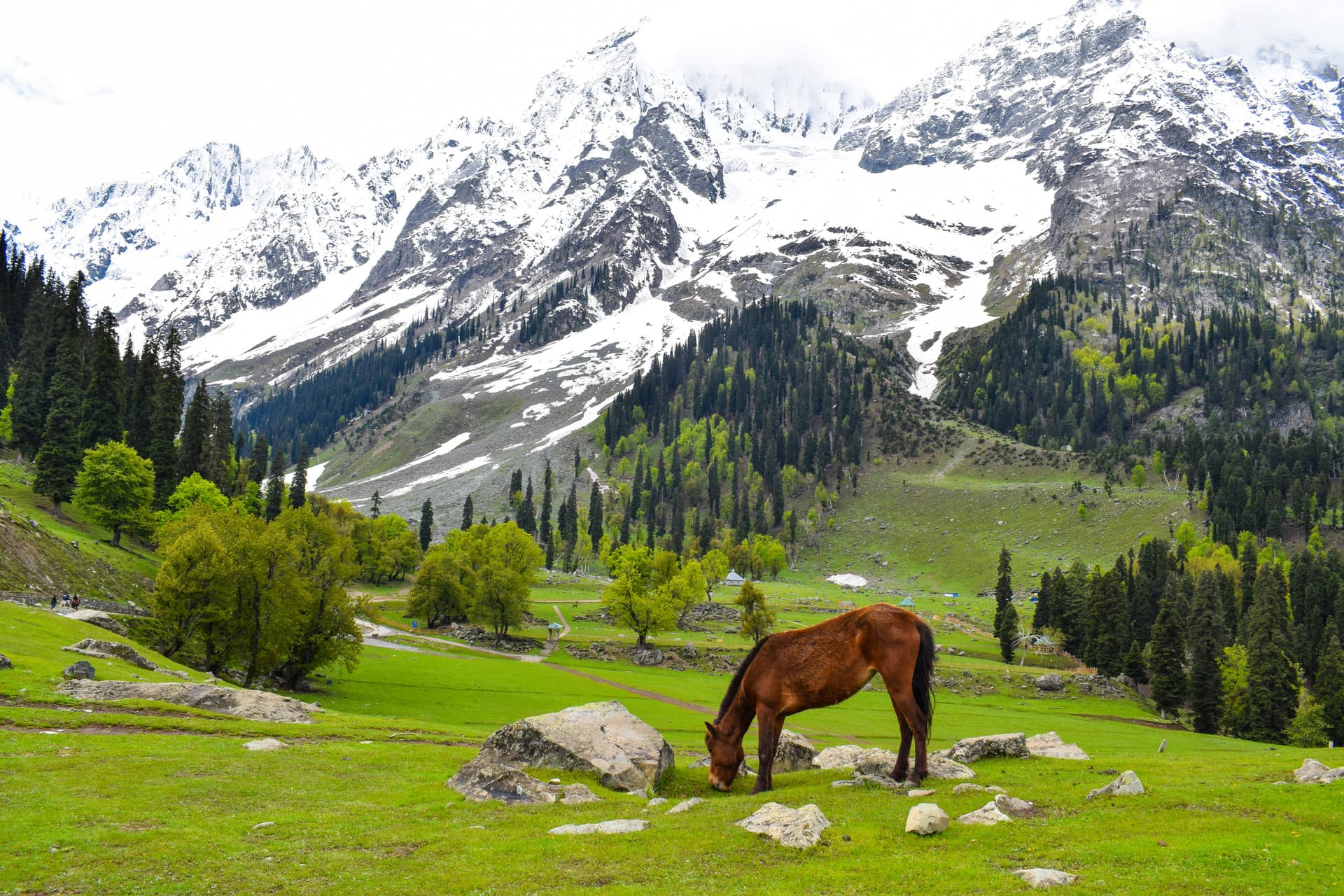 Location background